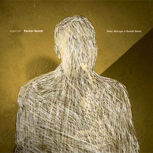 Peter Ablinger & Gareth Davis - Parker Notch