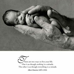 Life Is A Miracle