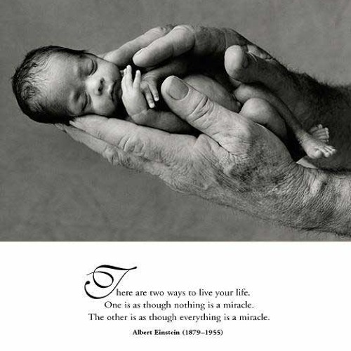 Life Is A Miracle