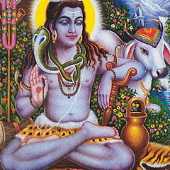 Yeshua Tree- Shiva Shamboo (spacemix)