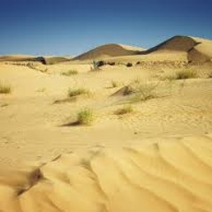 Desert Atmosfear