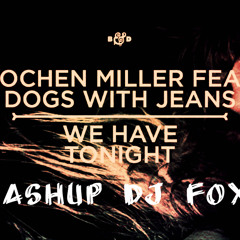 Afrojack & Jochen Miller feat. Dogs With Jeans - We Have Tonight (Mashup dj foxx)