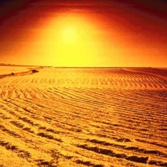 Sting - Desert Rose (Dj Cho Remix)