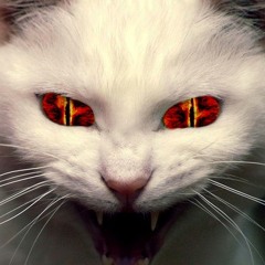 ÐRÀS†IK KÀ†Z - "NOT THE CRAZY ONE"