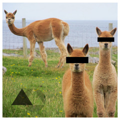 Chav - Sunset With My Baby