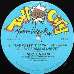 Lakim Shabazz _The Posse is Large (Driberlah Remix)