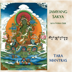 The Praises To The 21 Forms Of Tara
