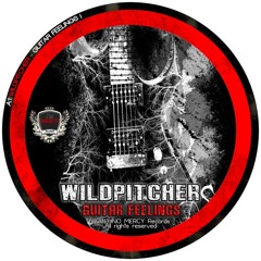 WILDPITCHER- Guitar Feelings
