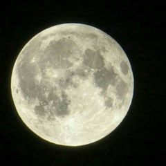 الشيخ طلال العيسائي