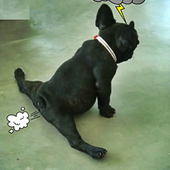 Stammer (stamma)-Nutty Neithan