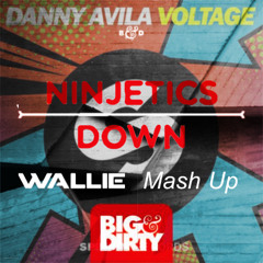 Danny Avila vs Ninjetics - Voltage Down (Wallie Mash Up)