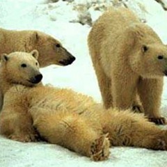 You Think I'm Laid Back, But I'm Not (Mastered)