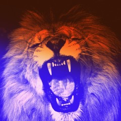 To The Lions - Terrapin