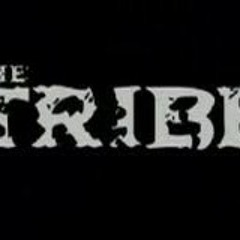 Tribe/Acide/Core
