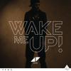 AVICII Wake Me Up Radio Edit