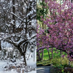 Verano En Invierno