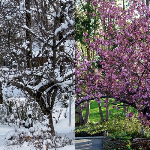 Verano En Invierno