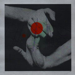 Artist Undisclosed - Der Klare Blick (Live Excerpt)