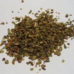 Oregano Dub (Preview)