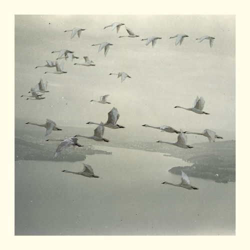 Snow Ghosts - And The World Was Gone (clips)