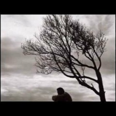 I Dont Know Why You Say Goodbye = Boulevard-Danyard