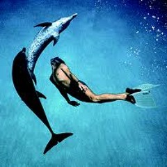 Lugraff - dolphindance