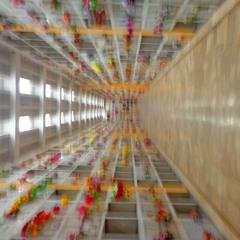 El Chico Que Se Agitaba Muy Rápido