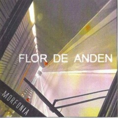 Morfonia / Album : Flor de Andén · Rock Fusion Band (progressive/metal/funk/jazz)