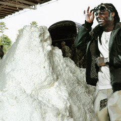 100 Winters - Lil' Wayne.