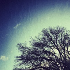 I Have Friends In Holy Spaces - Panic! At The Disco (Cover)