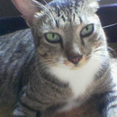 Once Upon A Time in China