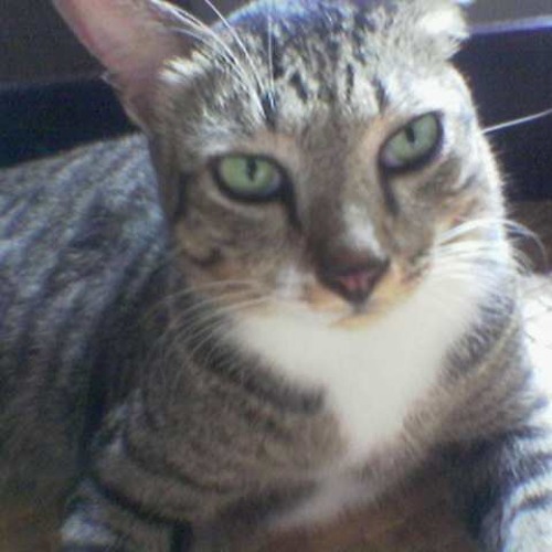 Once Upon A Time in China