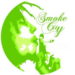 Teaser: ASNP - Never Too Much (Original Mix) [Smoke City Music] 2013