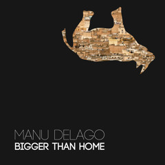 Coincidence - Manu Delago feat. Isa Kurz