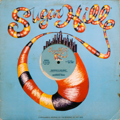 Sugarhill Gang - Rapper's Delight (theDuo Bootleg)