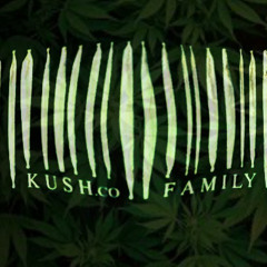 Kush*Co - Merry Jane