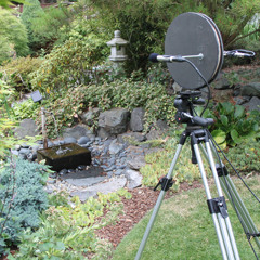 Walk by binaural comparison with Jecklin Disk