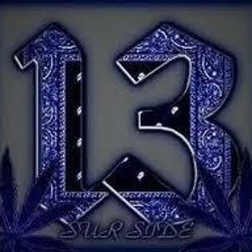 SUR 13 T.C.S. X3 RIFA Y  CONTROLA