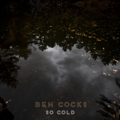 Ben Cocks - Fly Away For A Summer