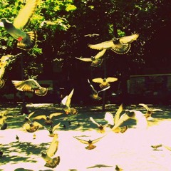 Tarantella Napoletana