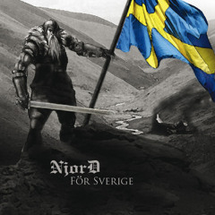 Stolta Vikingar