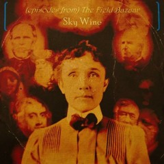 Sky Wine - with (Episodes From) The Field Bazaar