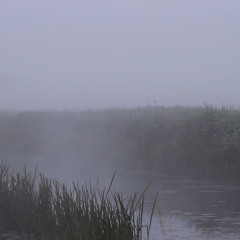 Peter Carter - It's A Big Gun