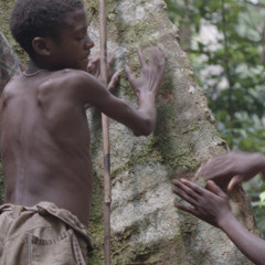 Tree drumming (gooma) by Bayaka youths, recorded in The Republic of Congo [1997 21 2 134 B 10]