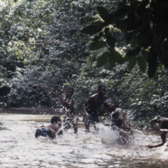Water drumming by Bayaka women and youths, Republic of Congo, 1994 [1997 21 2 134 B 18]