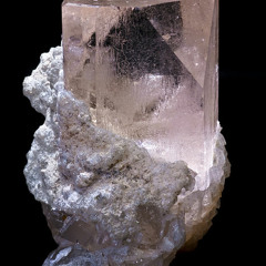 Wild Topaz Summer Dream