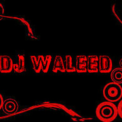 Ajab Ghazab Love - Boom Boom - DJ Waleed MIX