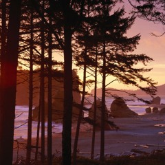 Michael St. Laurent - Breathe (Raze Remix)