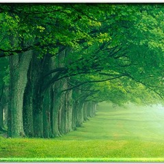 MALE NINTU HODAMELE SIREESHA