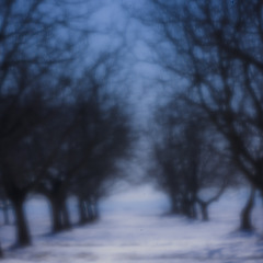 Iluzoryczna chwila trwania  6 - Schizofrenia